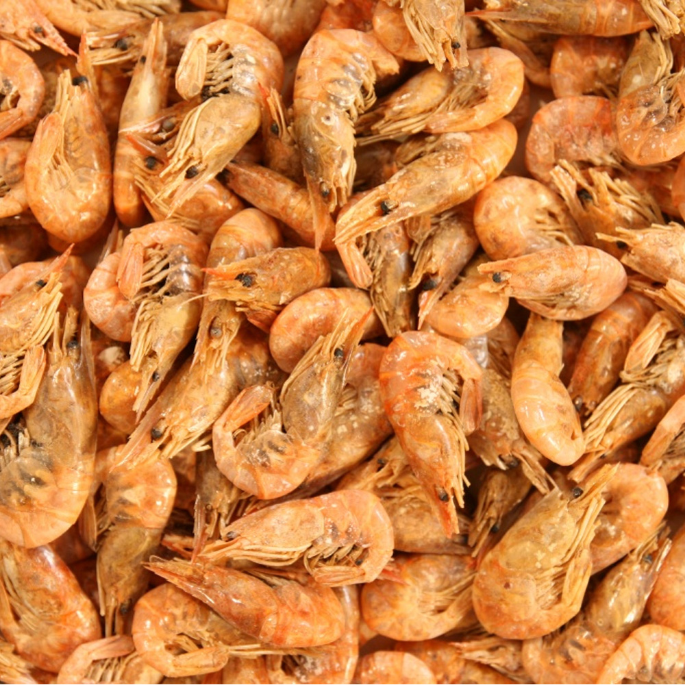 Suszony Mix dla Żółwi Gadów Wodnych 3x200g Gammarus Krewetki Stynka Pokarm